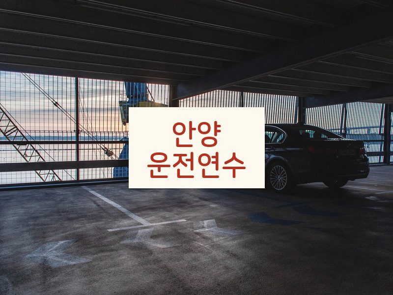 안양운전연수 후기