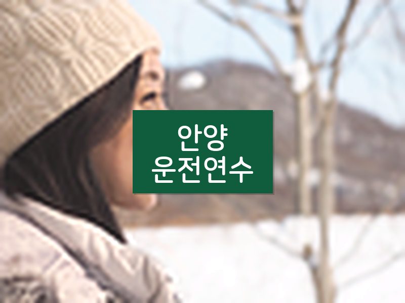 안양운전연수 후기