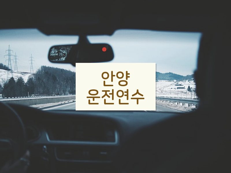 안양운전연수 후기
