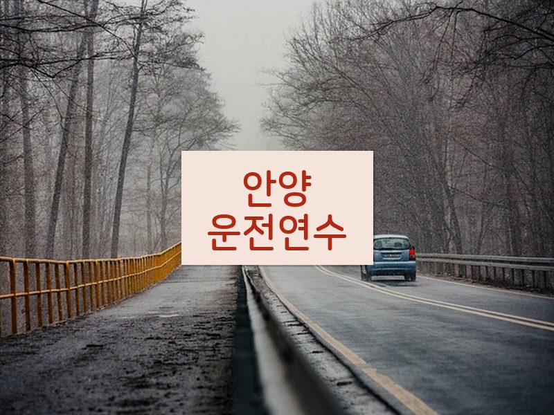 안양운전연수 후기