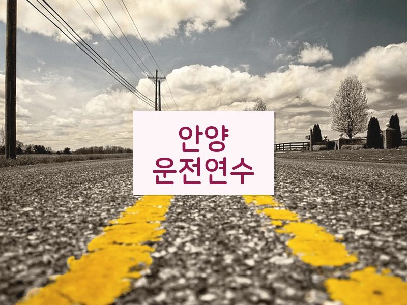 안양운전연수 후기