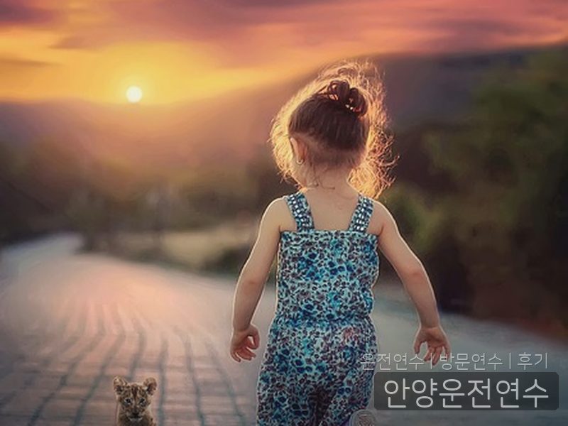 안양운전연수 후기