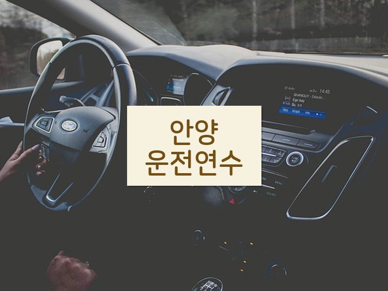 안양운전연수 후기