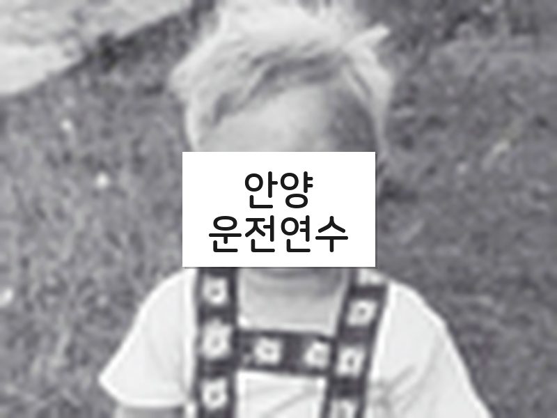 안양운전연수 후기