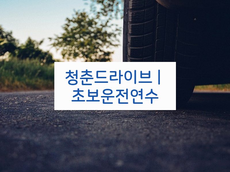 청춘드라이브 | 초보운전연수 후기