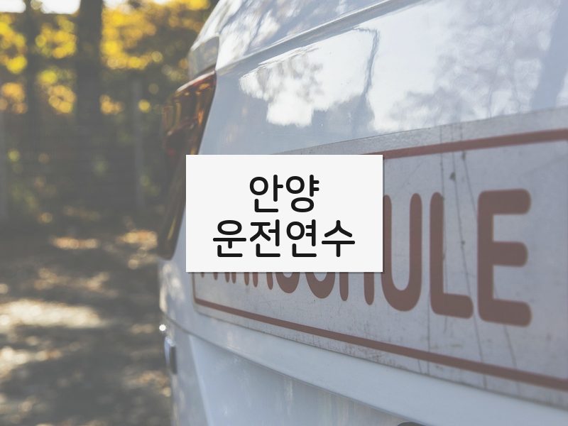 안양운전연수 후기