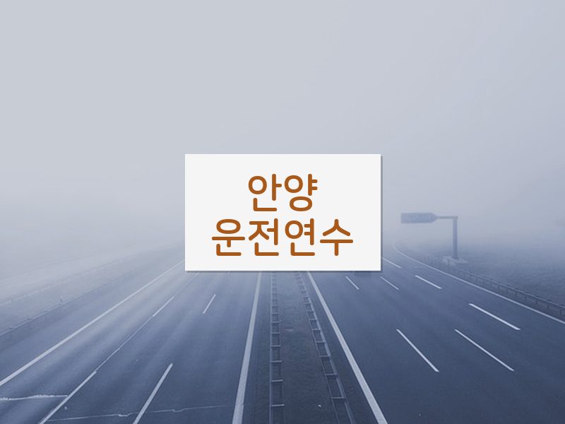 안양운전연수 후기