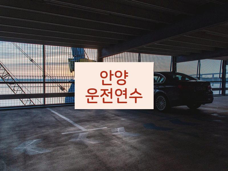 안양운전연수 후기