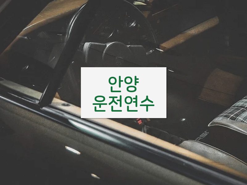 안양운전연수 후기
