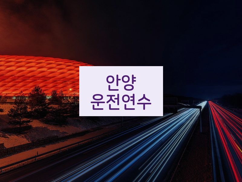 안양운전연수 후기