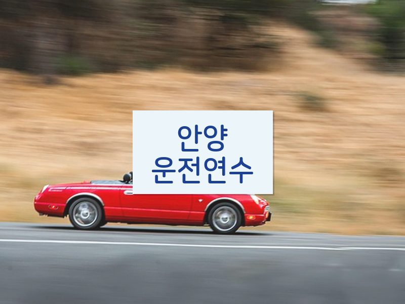 안양운전연수 후기