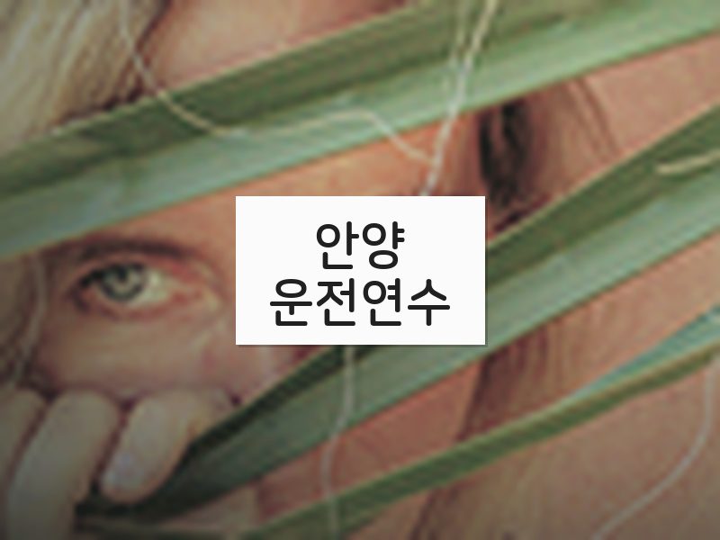 안양운전연수 후기
