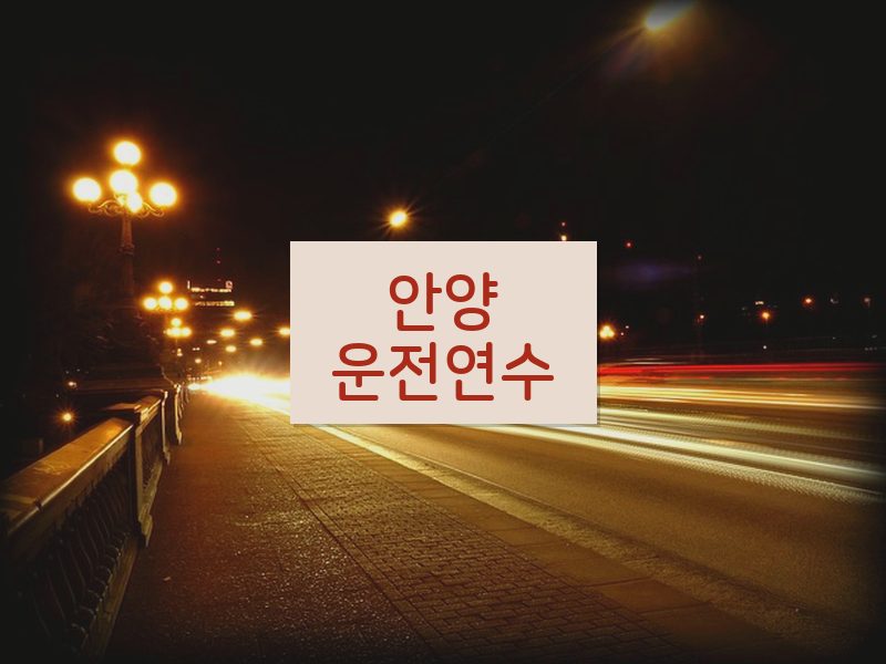 안양운전연수 후기