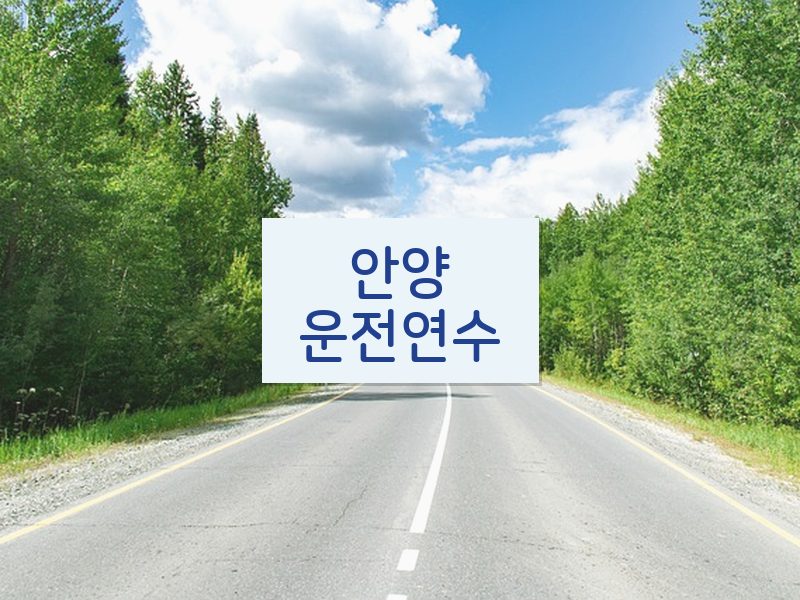 안양운전연수 후기