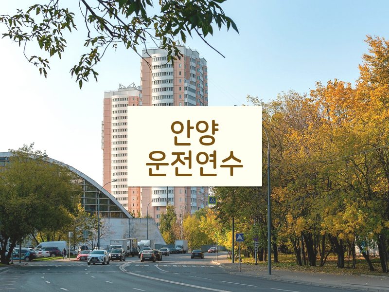 안양운전연수 후기