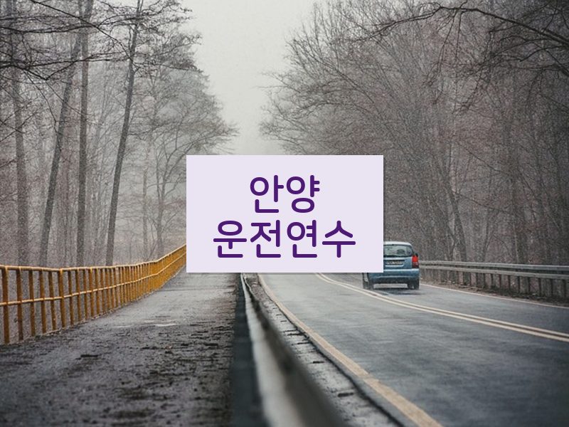 안양운전연수 후기