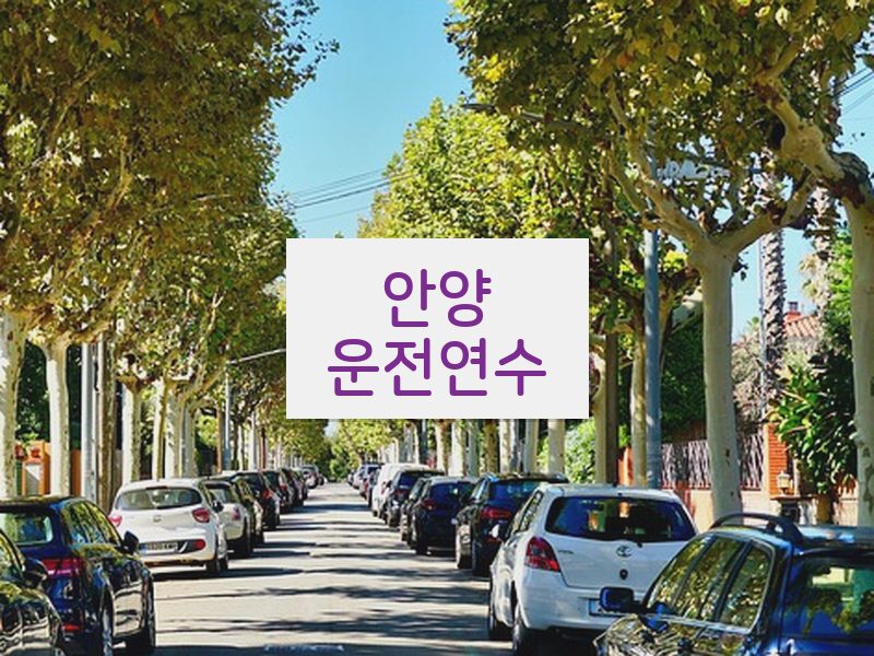 안양운전연수 후기