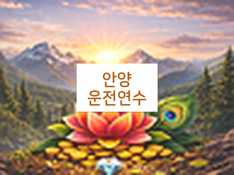 안양운전연수 후기