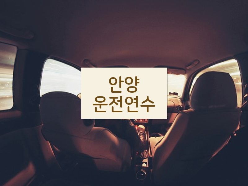 안양운전연수 후기