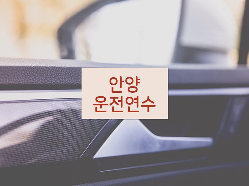 안양운전연수 후기