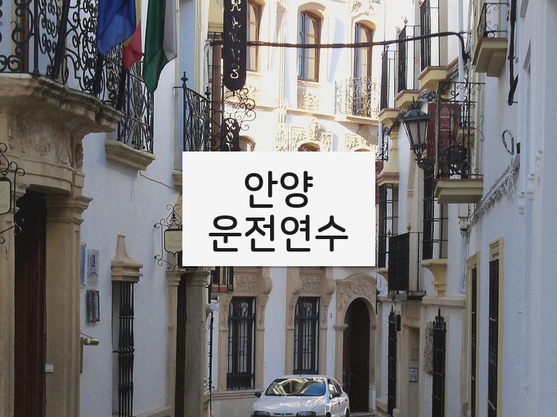 안양운전연수 후기