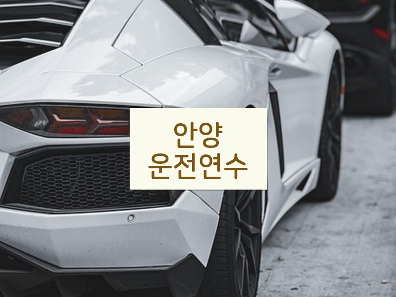 안양운전연수 후기