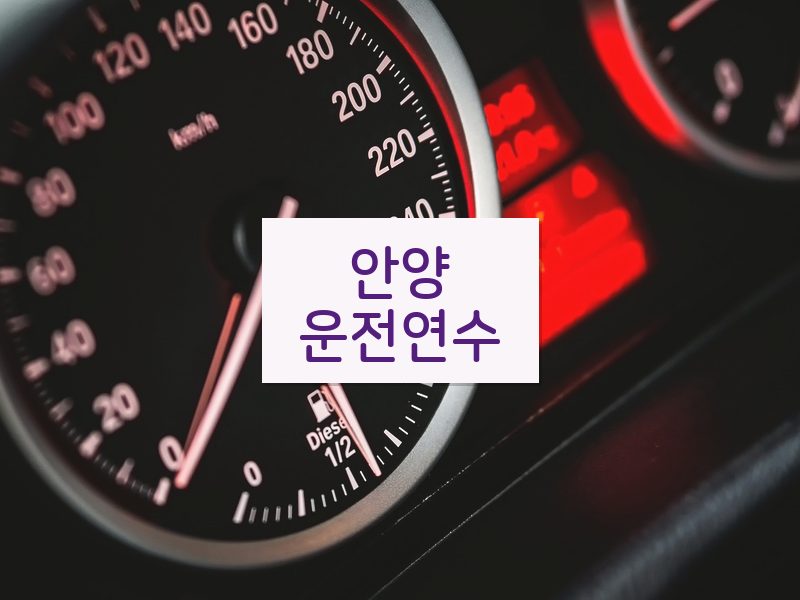 안양운전연수 후기