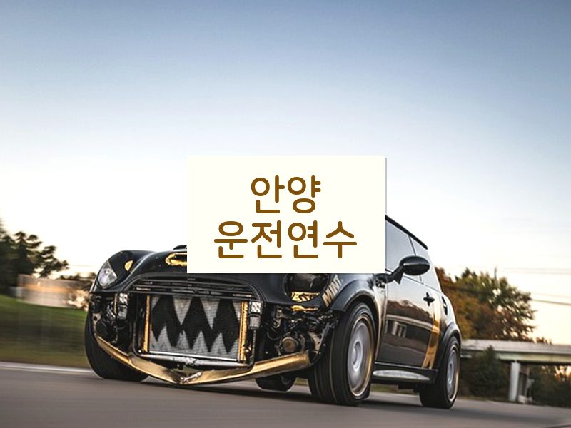 안양운전연수 후기