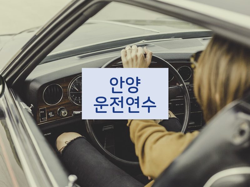 안양운전연수 후기