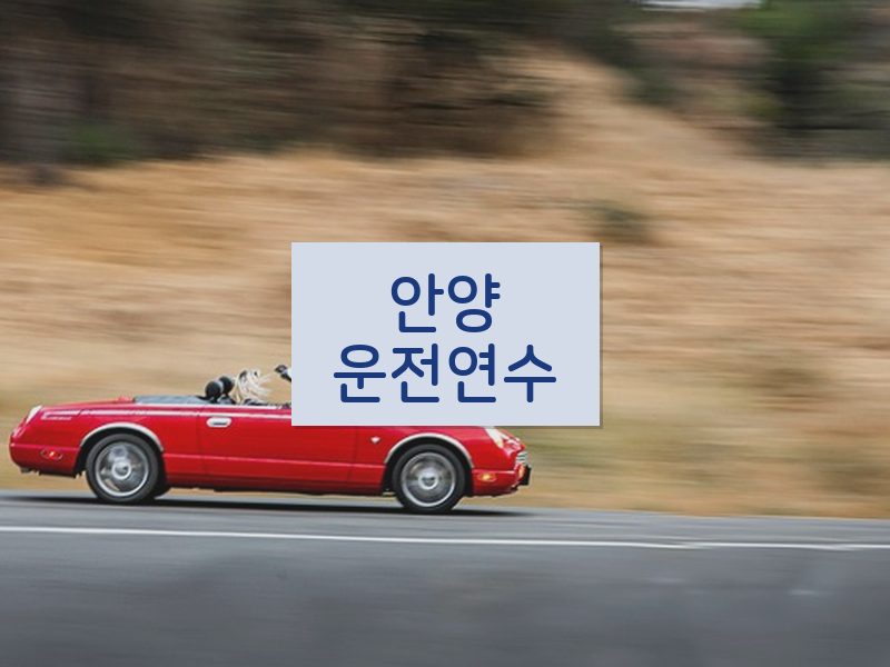 안양운전연수 후기