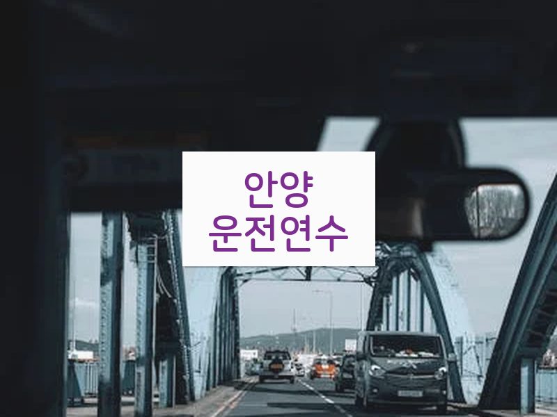 안양운전연수 후기
