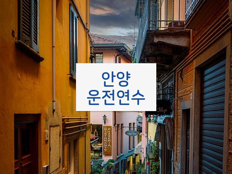 안양운전연수 후기