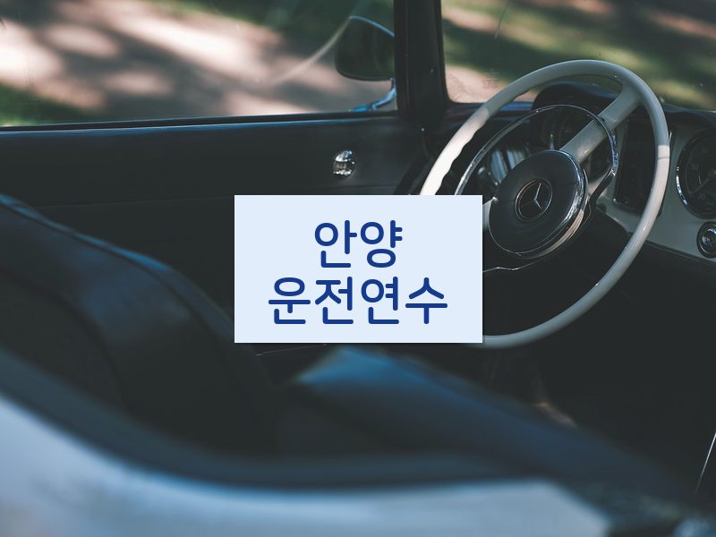 안양운전연수 후기