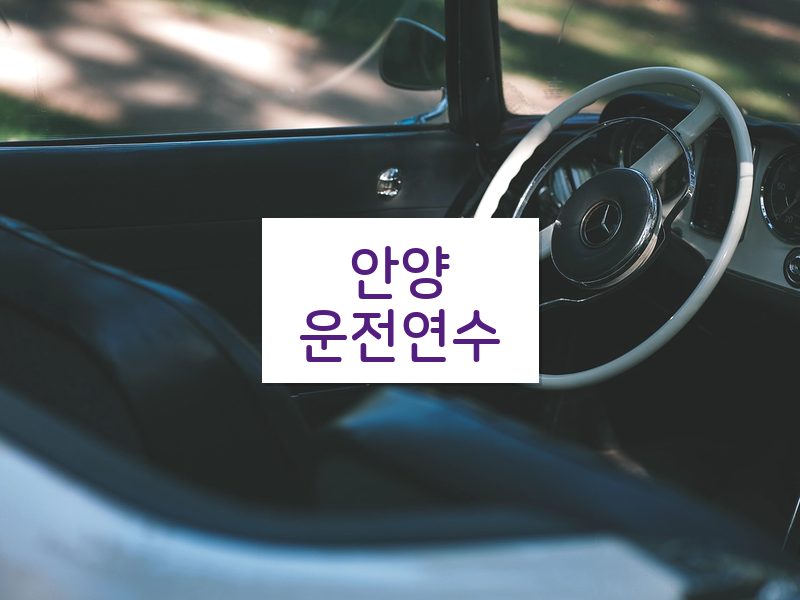 안양운전연수 후기