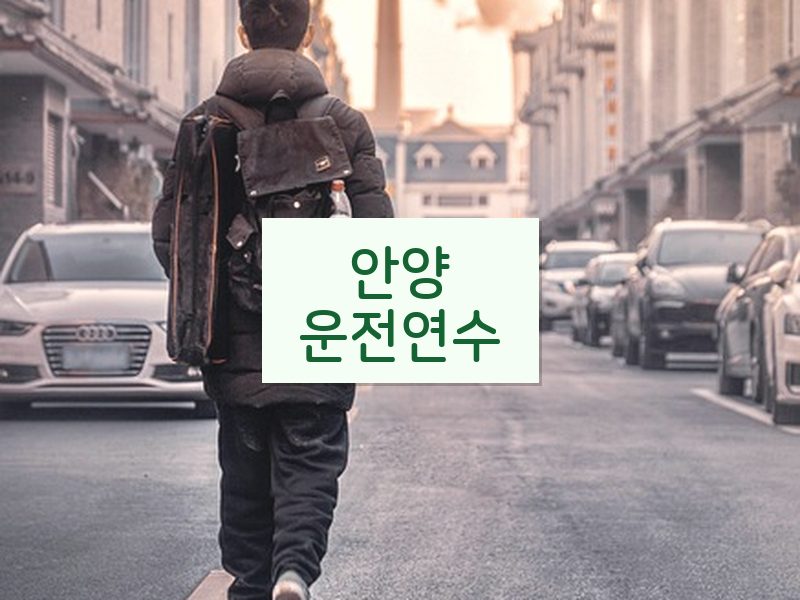 안양운전연수 후기