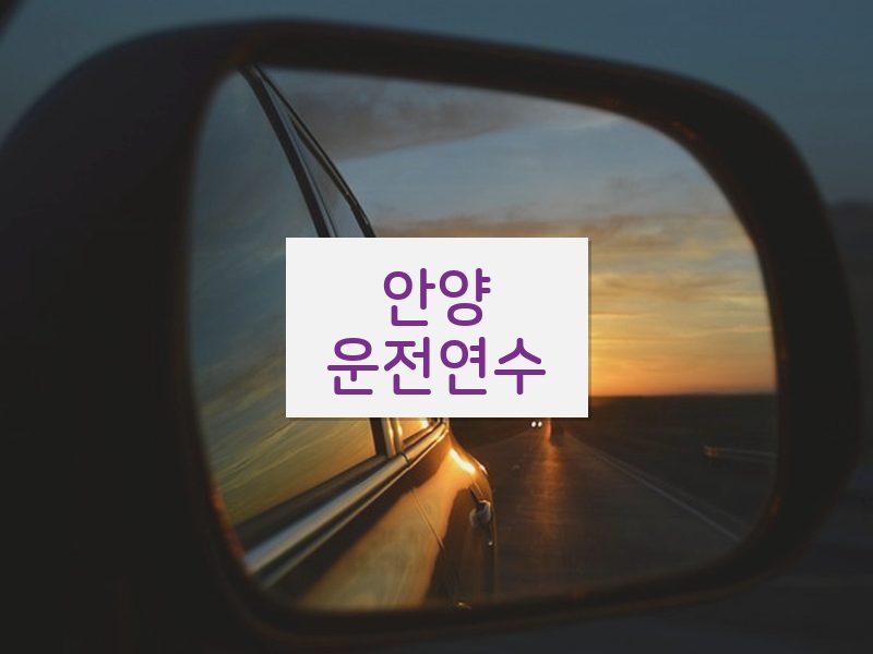 안양운전연수 후기