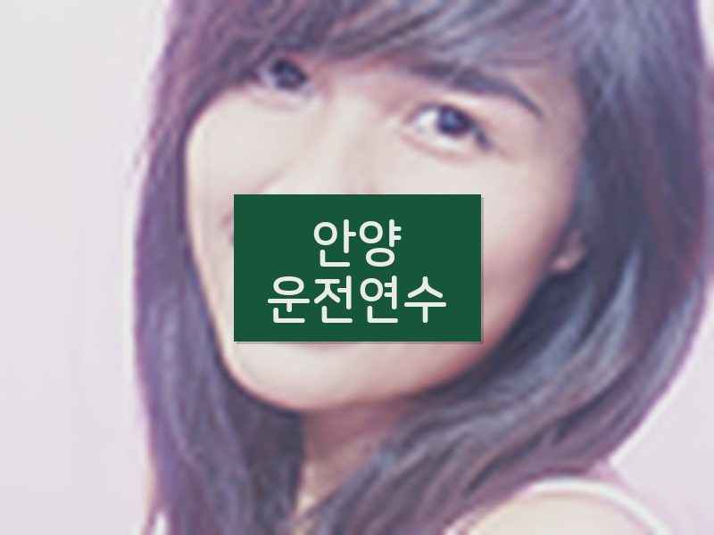 안양운전연수 후기
