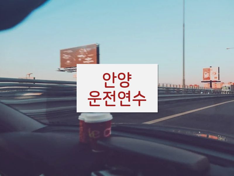 안양운전연수 후기