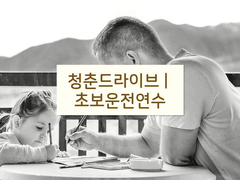 청춘드라이브 | 초보운전연수 후기