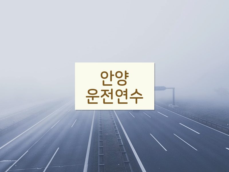안양운전연수 후기