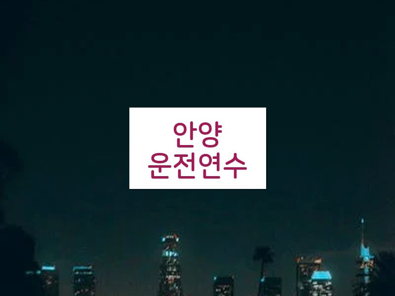 안양운전연수 후기