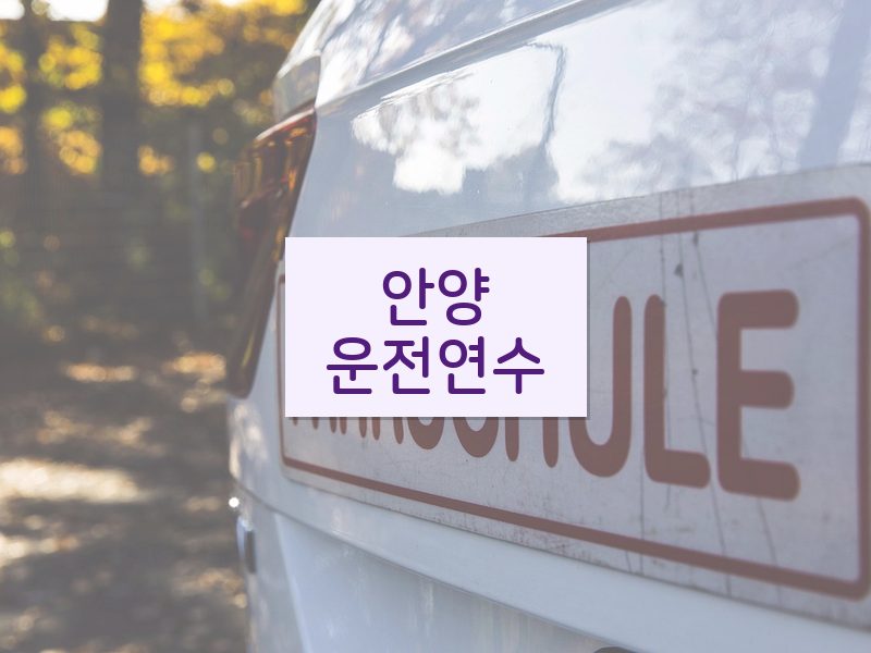 안양운전연수 후기