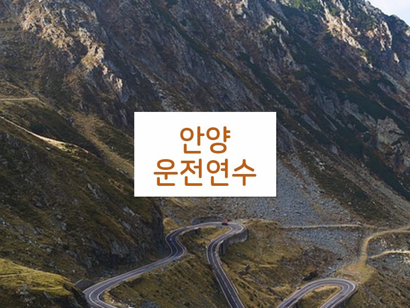 안양운전연수 후기