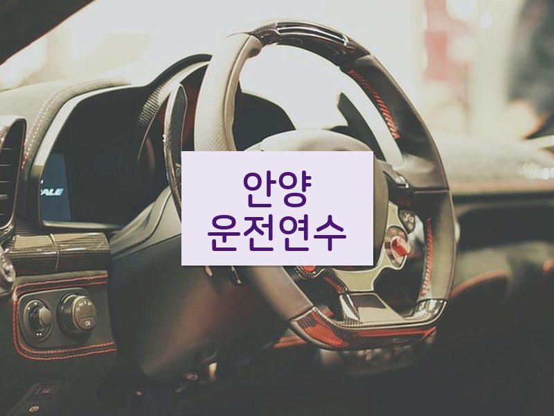 안양운전연수 후기