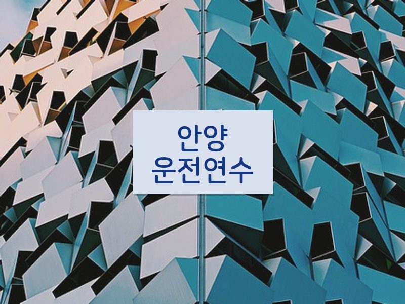 안양운전연수 후기