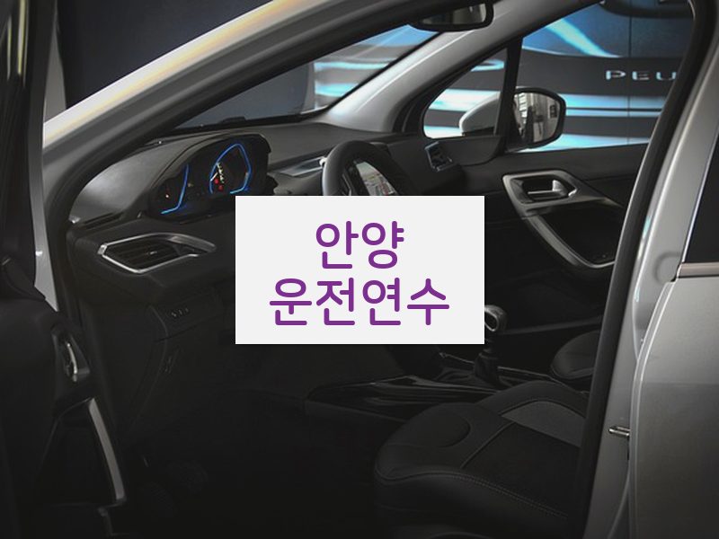 안양운전연수 후기