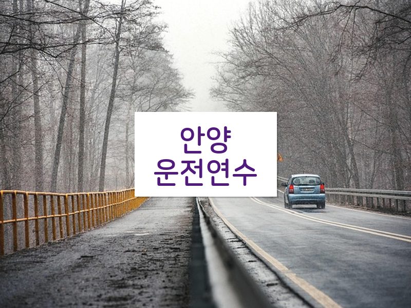 안양운전연수 후기