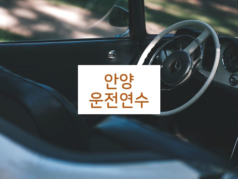 안양운전연수 후기