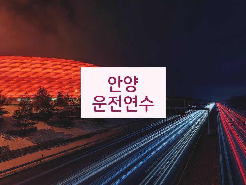 안양운전연수 후기
