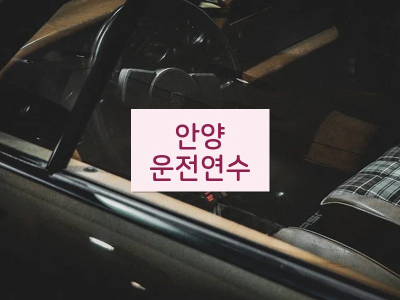 안양운전연수 후기
